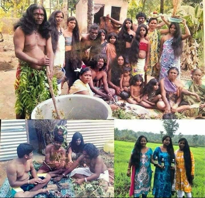 KARNATAKA ADIVASI HAKKI PIKKI NEELAMBARI  HAIR OIL