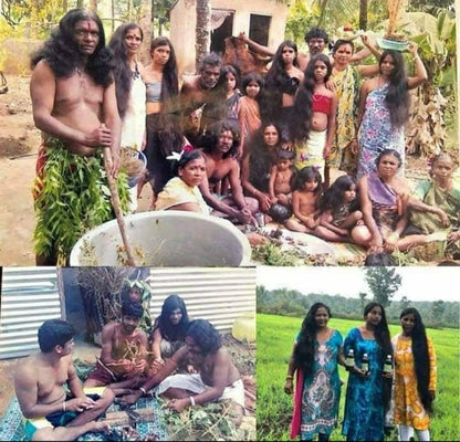 KARNATAKA ADIVASI HAKKI PIKKI NEELAMBARI  HAIR OIL